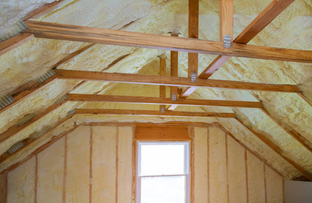 Best Insulation Removal  in Ellington, MO