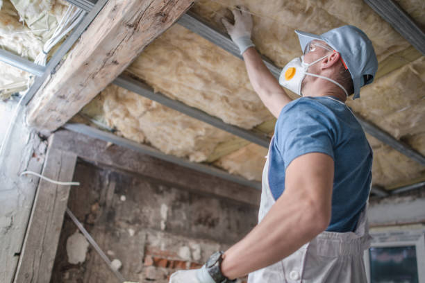 Best Insulation Replacement Services  in Ellington, MO