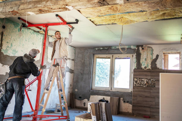 Best Cellulose Insulation  in Ellington, MO