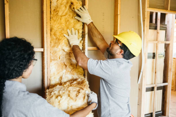 Best Best Insulation Companies  in Ellington, MO