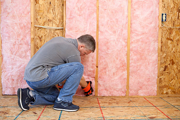 Best Wall Insulation Contractor  in Ellington, MO