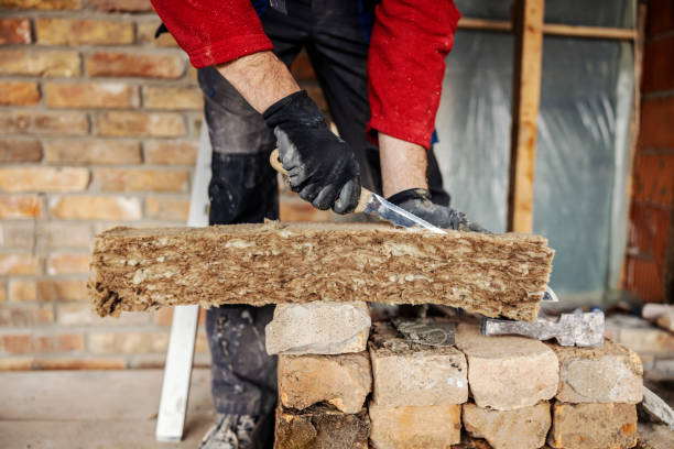 Best Insulation Contractor Near Me  in Ellington, MO