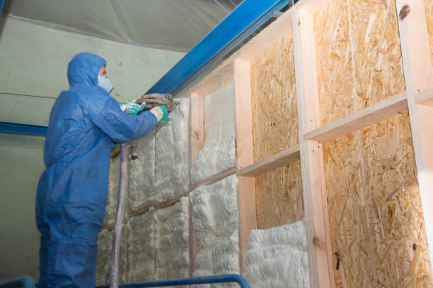 Best Soundproof Insulation Installation  in Ellington, MO