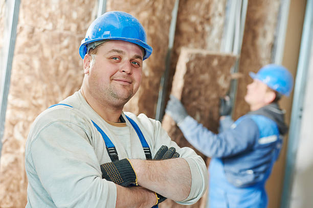 Best Professional Insulation Contractor  in Ellington, MO